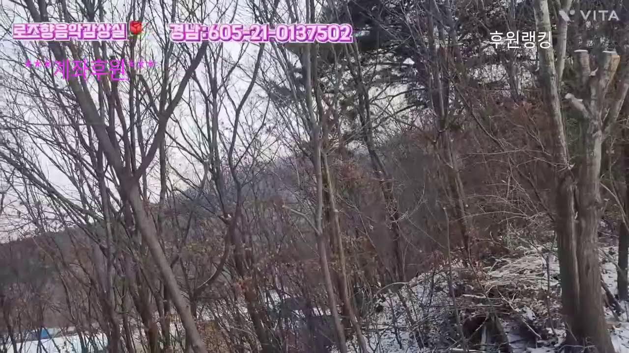 #같이 음악들어요#음악방송#라이브#커버곡 26.2.7.낮방송