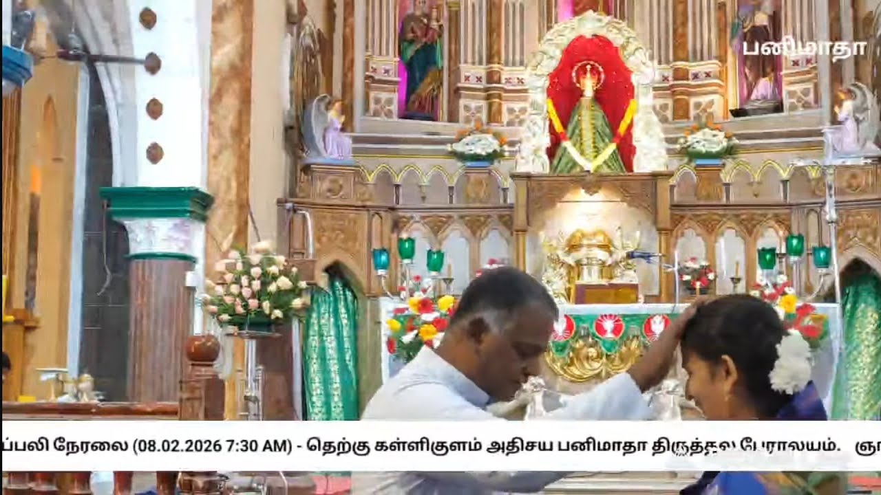 ஞாயிறு திருப்பலி நேரலை (08.02.2026 7:30 AM) - தெற்கு கள்ளிகுளம் அதிசய பனிமாதா திருத்தல பேராலயம்.