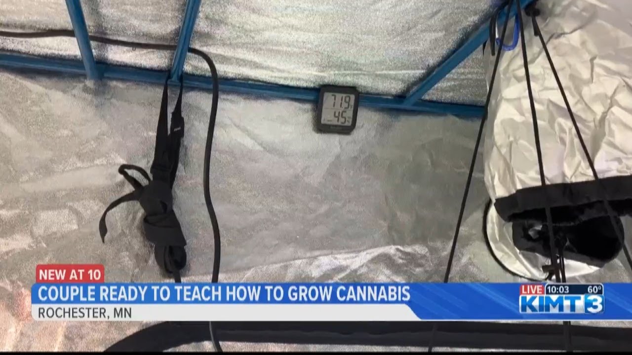 Helping Minnesotans grow cannabis