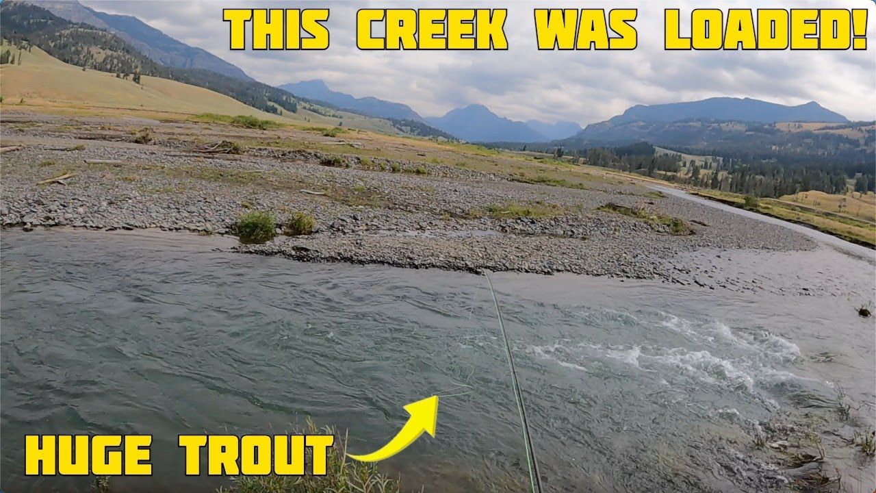 This Creek was FULL OF TROUT and They Were HUGE! - Fly Fishing Soda Butte Creek - Yellowstone NP