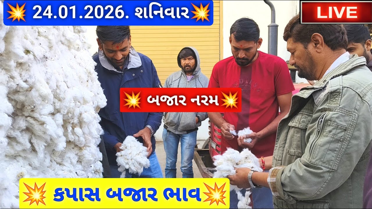 🔴 LIVE કપાસ ના બજાર ભાવ આજના જસદણ માર્કેટિંગ યાર્ડ, cotton auction price today,January 24, 2026