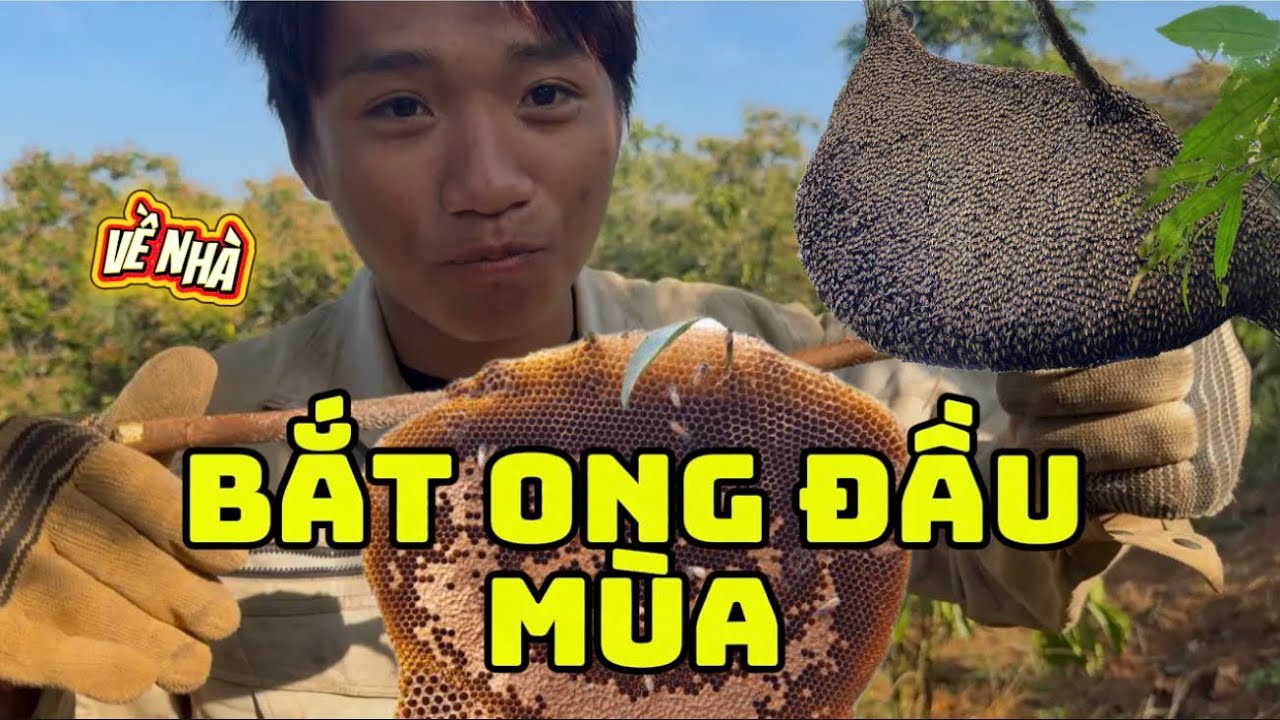 1 Ngày Đi Bắt Ong Sau Bao Nhiêu Ngày Làm Ở Xa Nhà