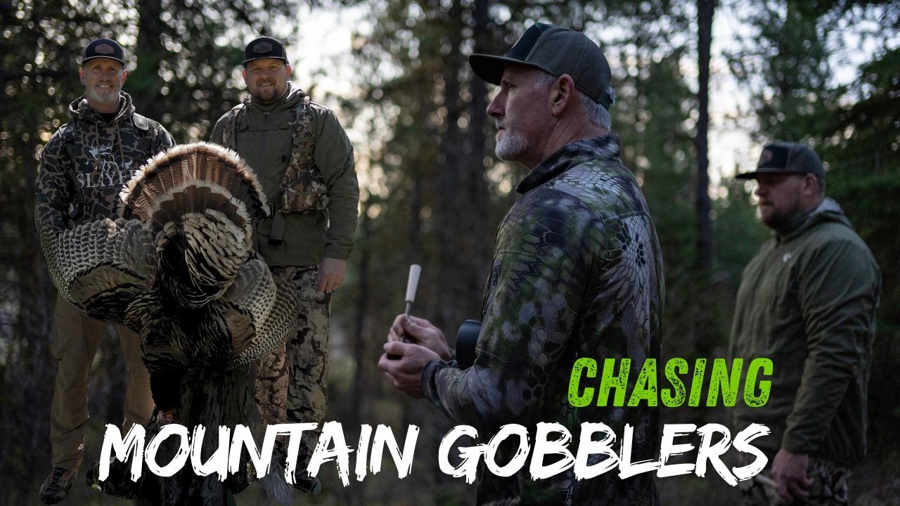 Hunting Mountain Turkeys in Idaho | Backcountry Hunt with Slayer Calls
