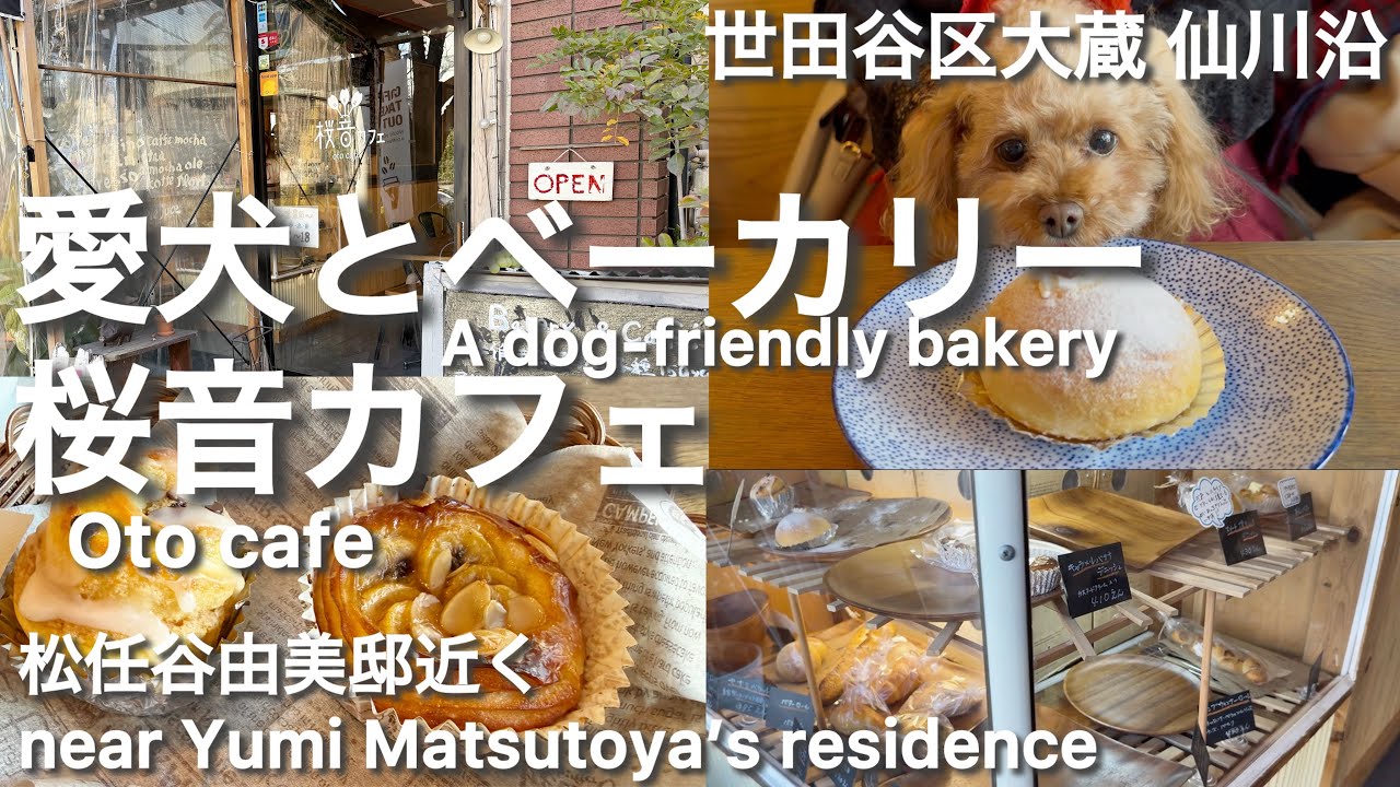 愛犬とベーカリー　桜音カフェ　世田谷区　松任谷由美邸近く
