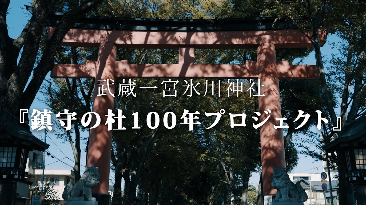 武蔵大宮氷川神社『鎮守の杜100年プロジェクト』