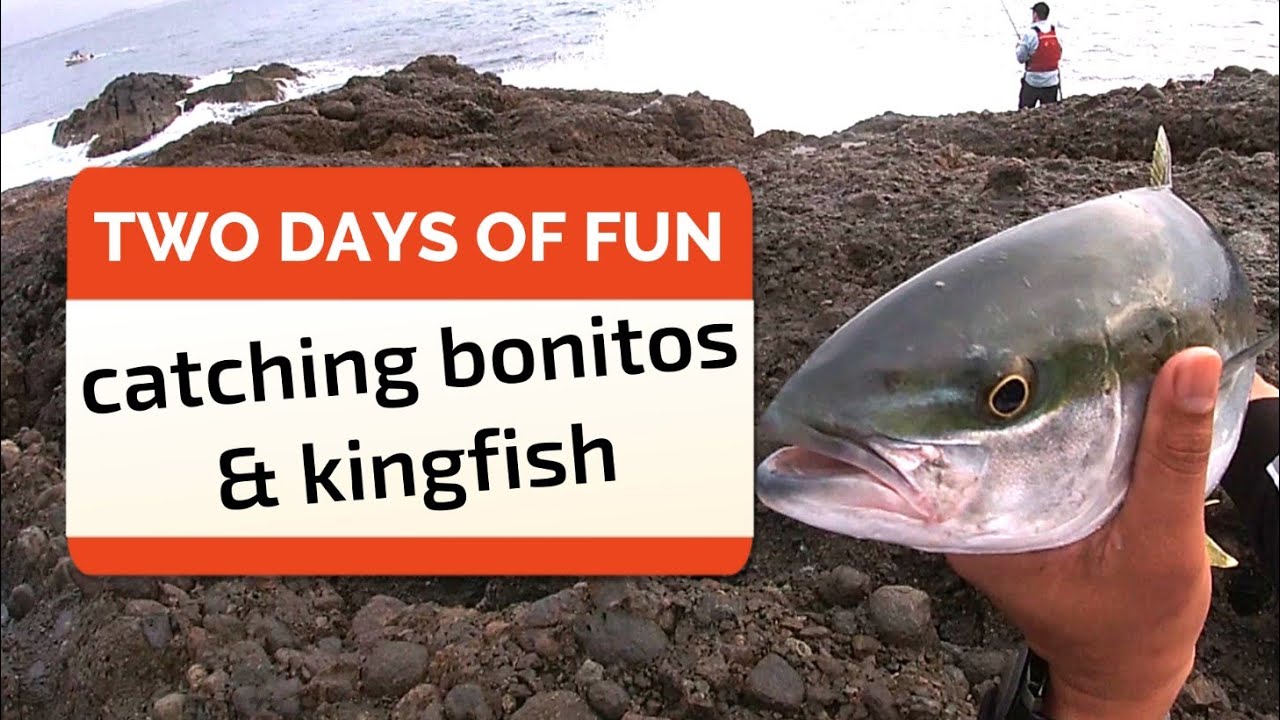Catching Bonitos & Kingfish [north of Sydney]
