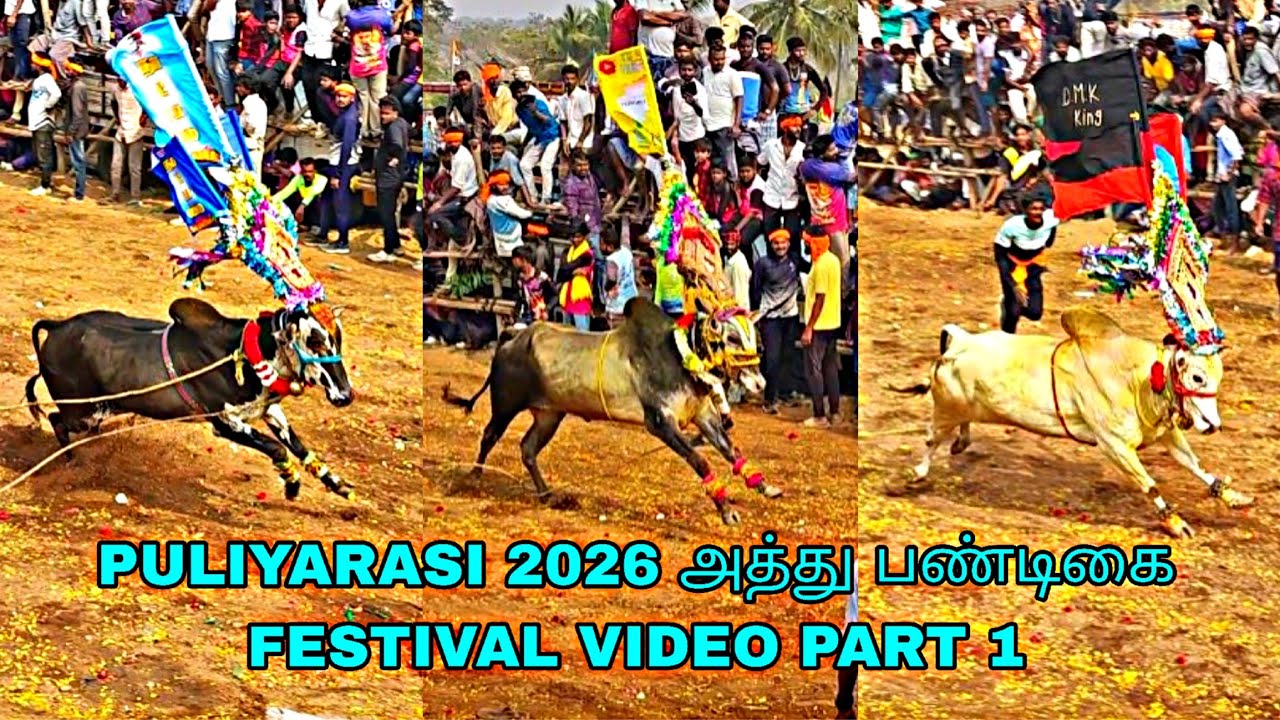 PULIYARASI 2026 அத்து பண்டிகை FESTIVAL VIDEO PART 1@bulletrani8271  