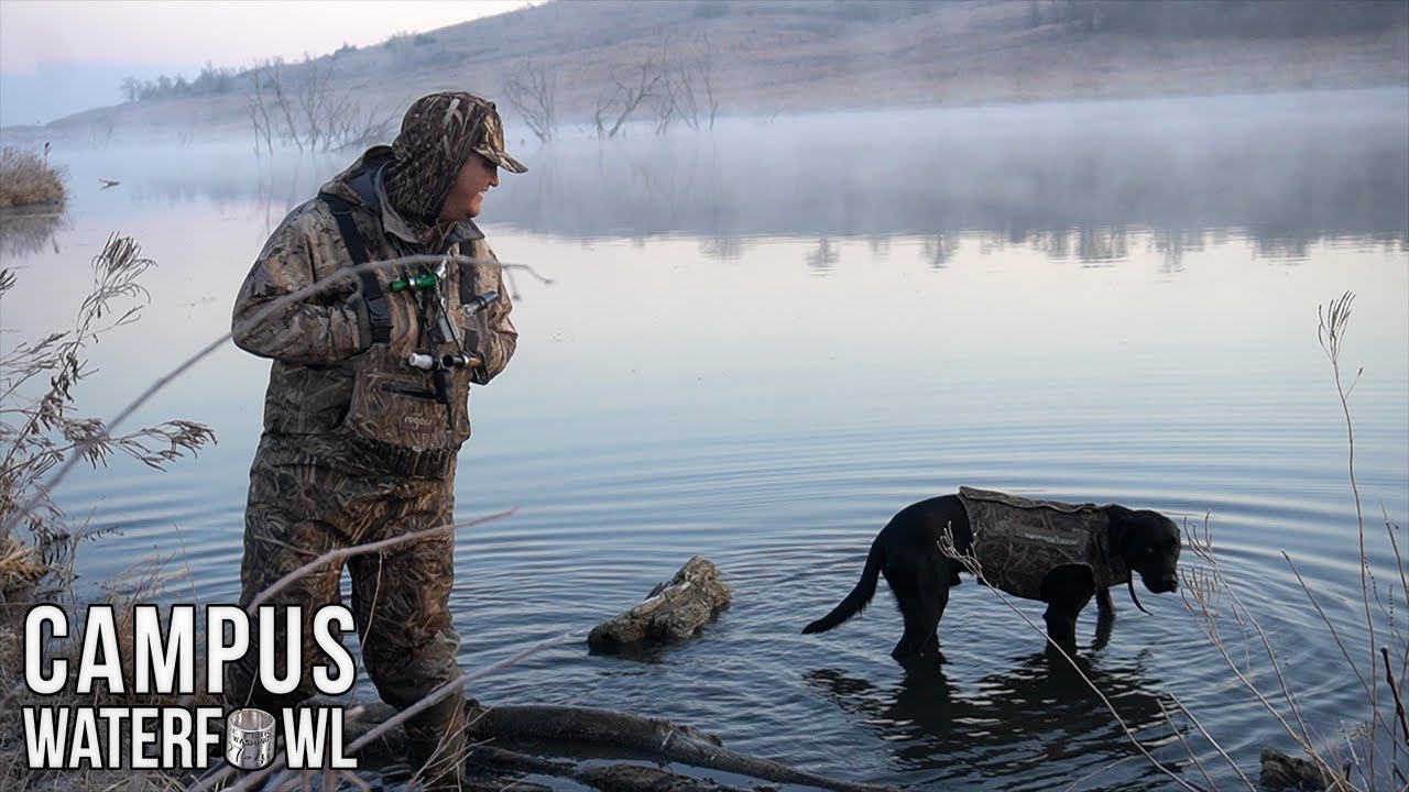 Duck Hunting with a College Dog (COLD MORNING)