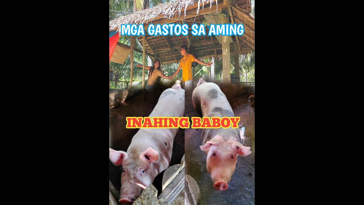 GASTOS AT KITA NAMIN SA 2 INAHING BABOY