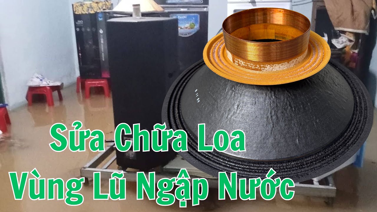 Sửa Chữa Loa Ngập Lũ Thay Trọn Bộ Recone Kit