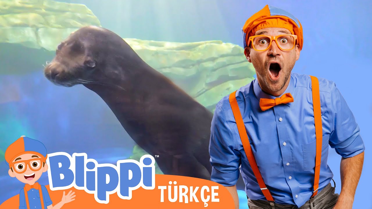Blippi DEV akvaryumu keşfediyor! | Blippi Türkçe - Çocuklar için Eğitici Videolar