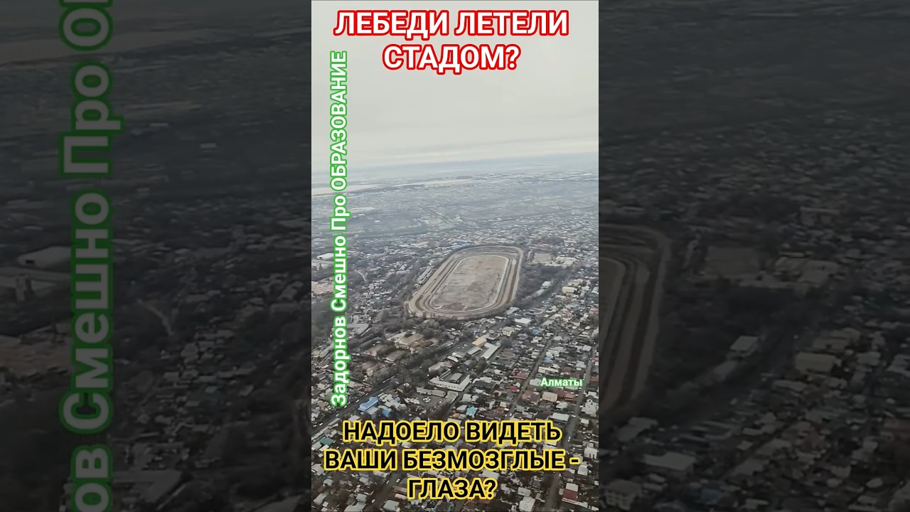 Бедные Молодые Учителя? #мудрость #юмор #честь #здоровье #смех #деньги ##анекдот #задорнов #счастье