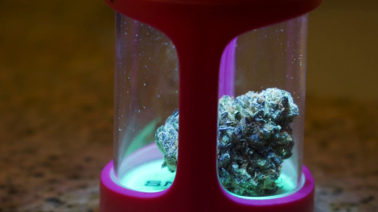 Beyond the Bud Smokus Focus Unboxing