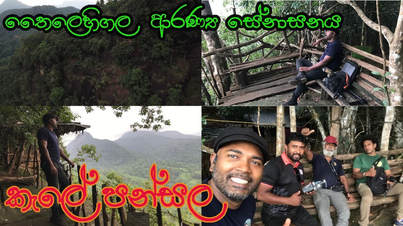 🌲කවුරු ආවත් කෑම උයලා කන්න දෙන අපේ හාමුදුරුවෝ🥣 හිතාගන්න බැරි තැනක තියන අමුතු පන්සල Thelehigala Aranya