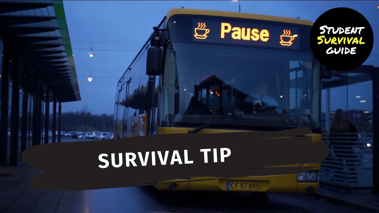 3 Ways To Save Money On Public Transportation In Denmark