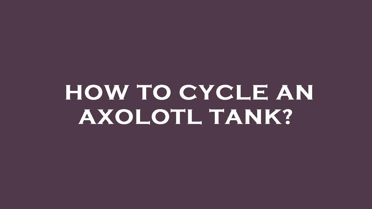 How to cycle an axolotl tank?