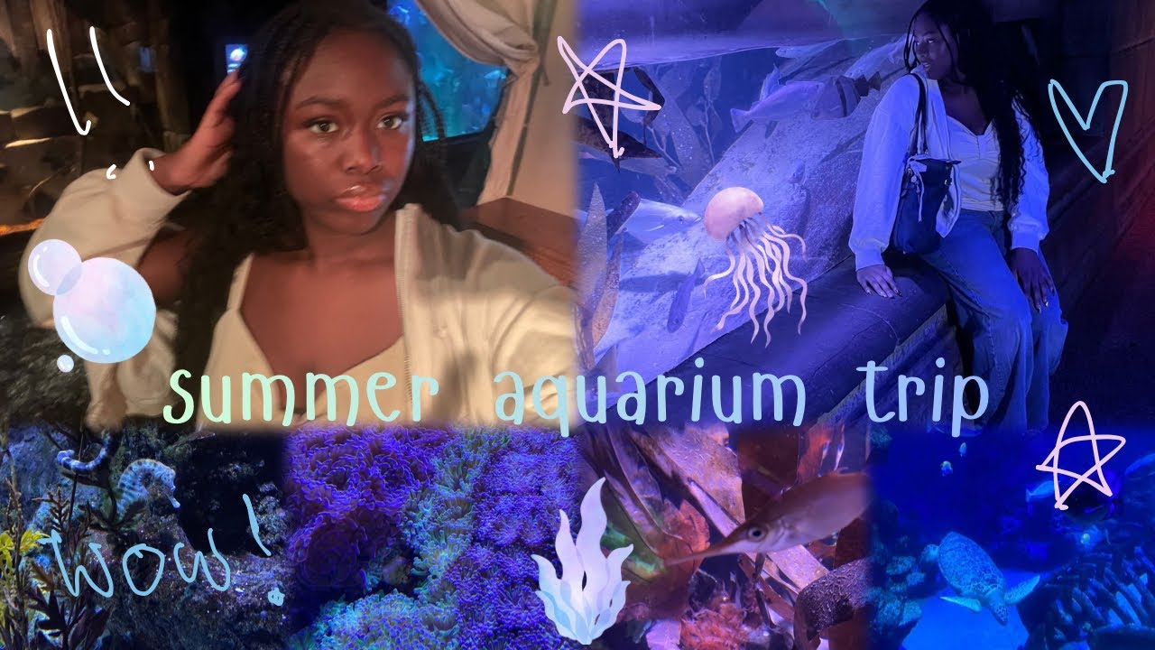 aquarium vlog ✧˚° 