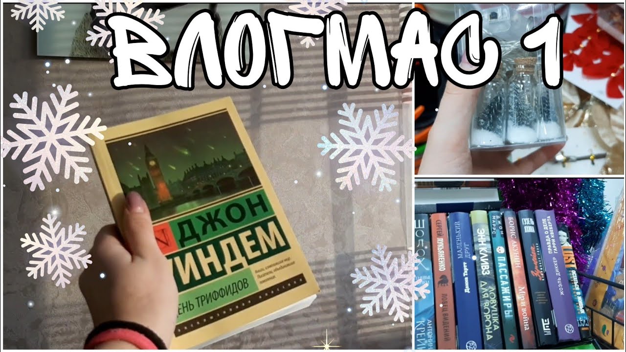Книжный влогмас 🌲1// фикс прайс книги и не только// читаем Джона Уиндема//HotBook