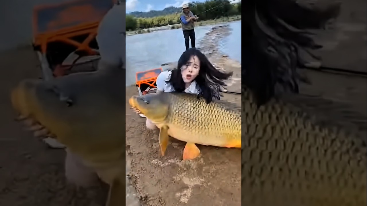 câu cá kiểu này có ngày cá húc bay 