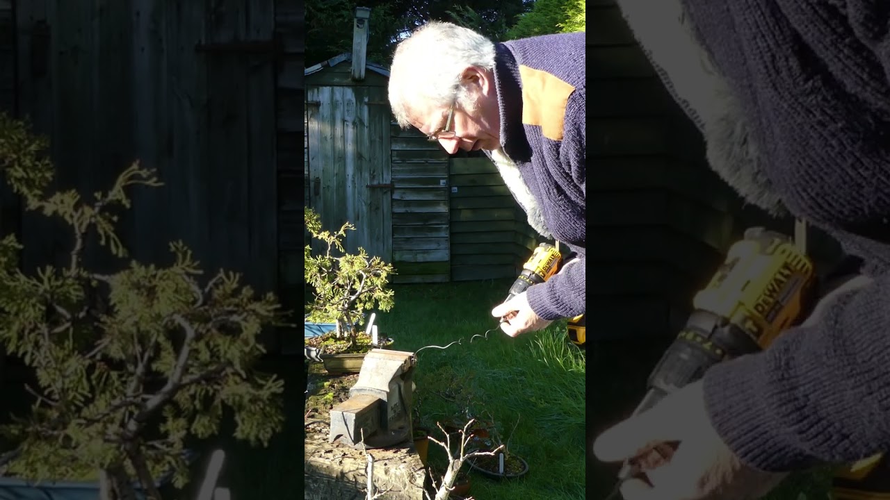 How to straighten Bonsai Wire