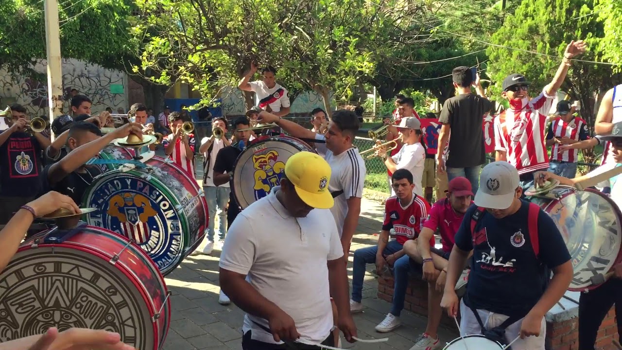 Ensayo Del Corazón De Guadalajara