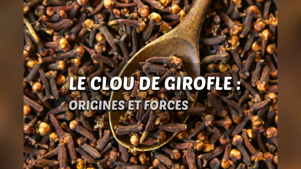 C'EST QUOI CLOU DE GIROFLE?
