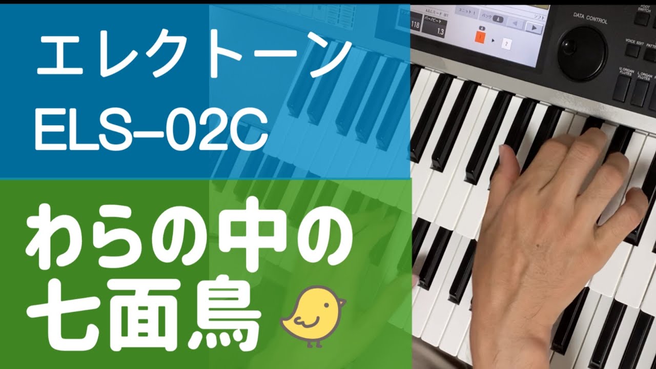 わらの中の七面鳥 Turkey in the straw エレクトーン ELS-02C