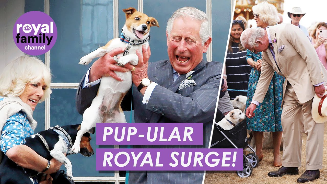The King and Queen Might Have Made This Dog Breed Britain's Favourite