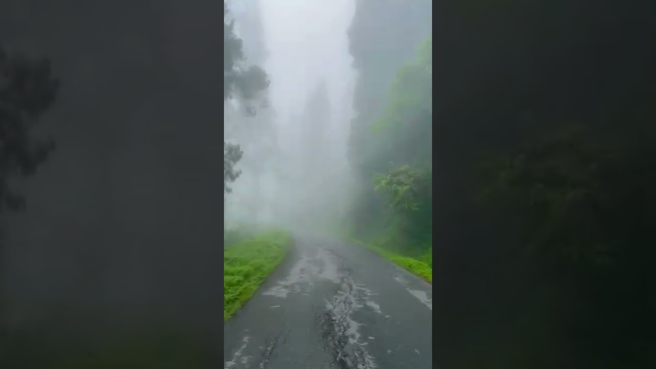 On the way to Icche Gaon, Kalimpong