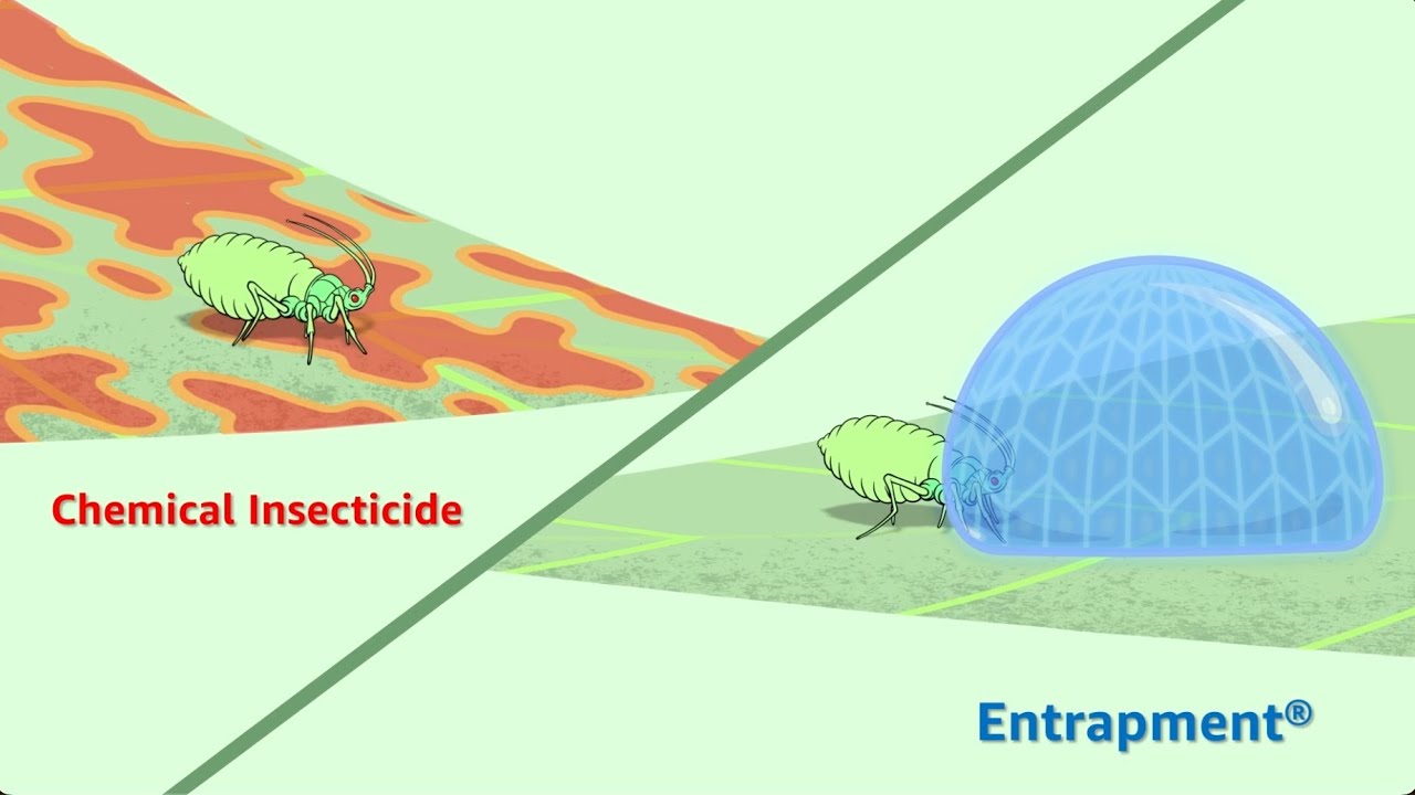 Entrapment® Insecticide