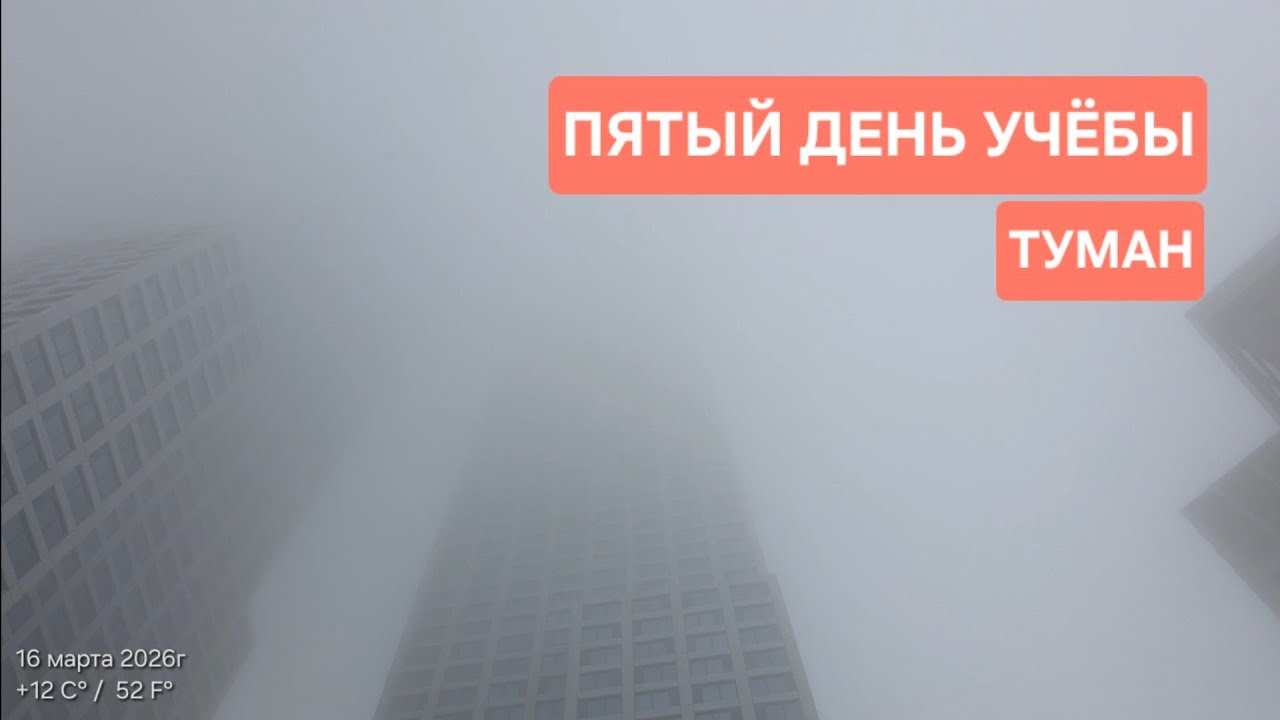 Пятый день учёбы в Нью-Йорке | Туман в городе