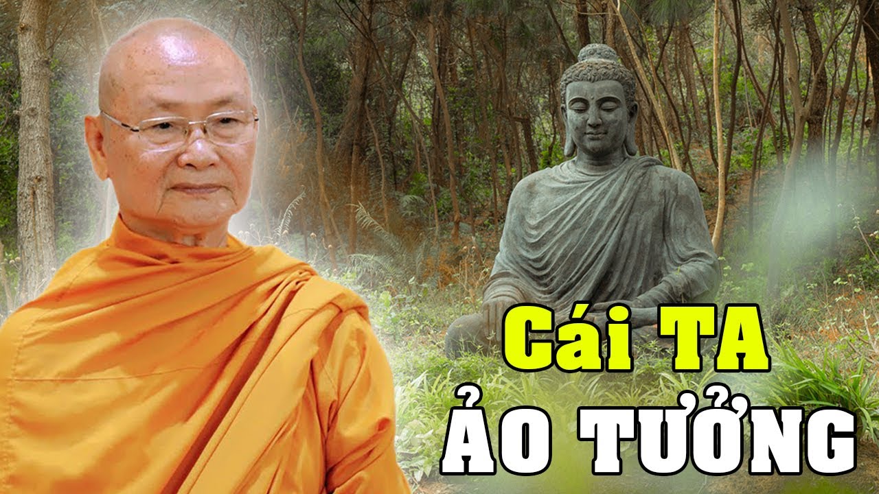 Cái TA Chỉ Là Ảo Tưởng, Có Cái TA Càng Đau Khổ - Thầy Viên Minh Giảng | Phật Pháp Vấn Đáp
