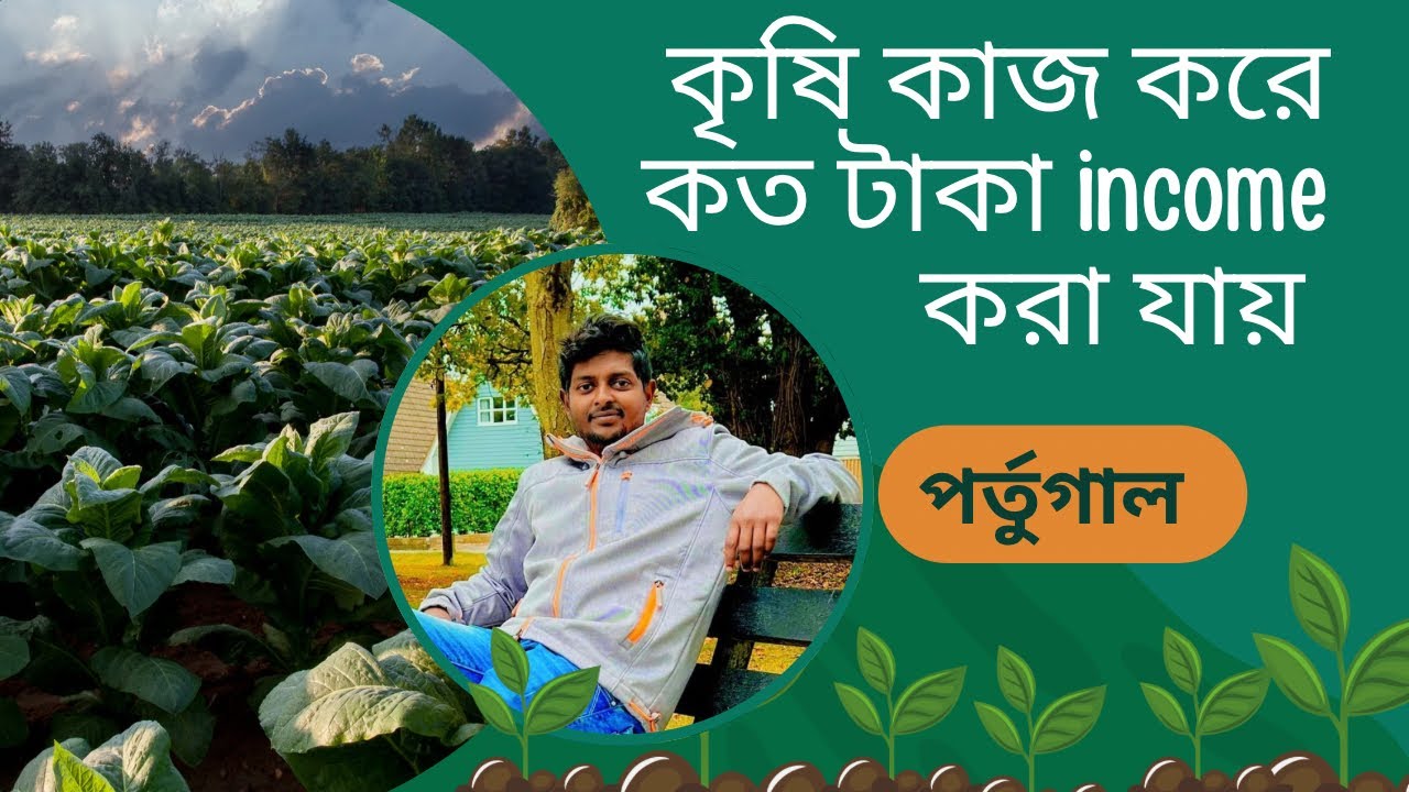 Agriculture work in Portugal 2025 || Portugal agriculture work 2025 || পর্তুগালের কৃষি কাজ ২০২৫ ||