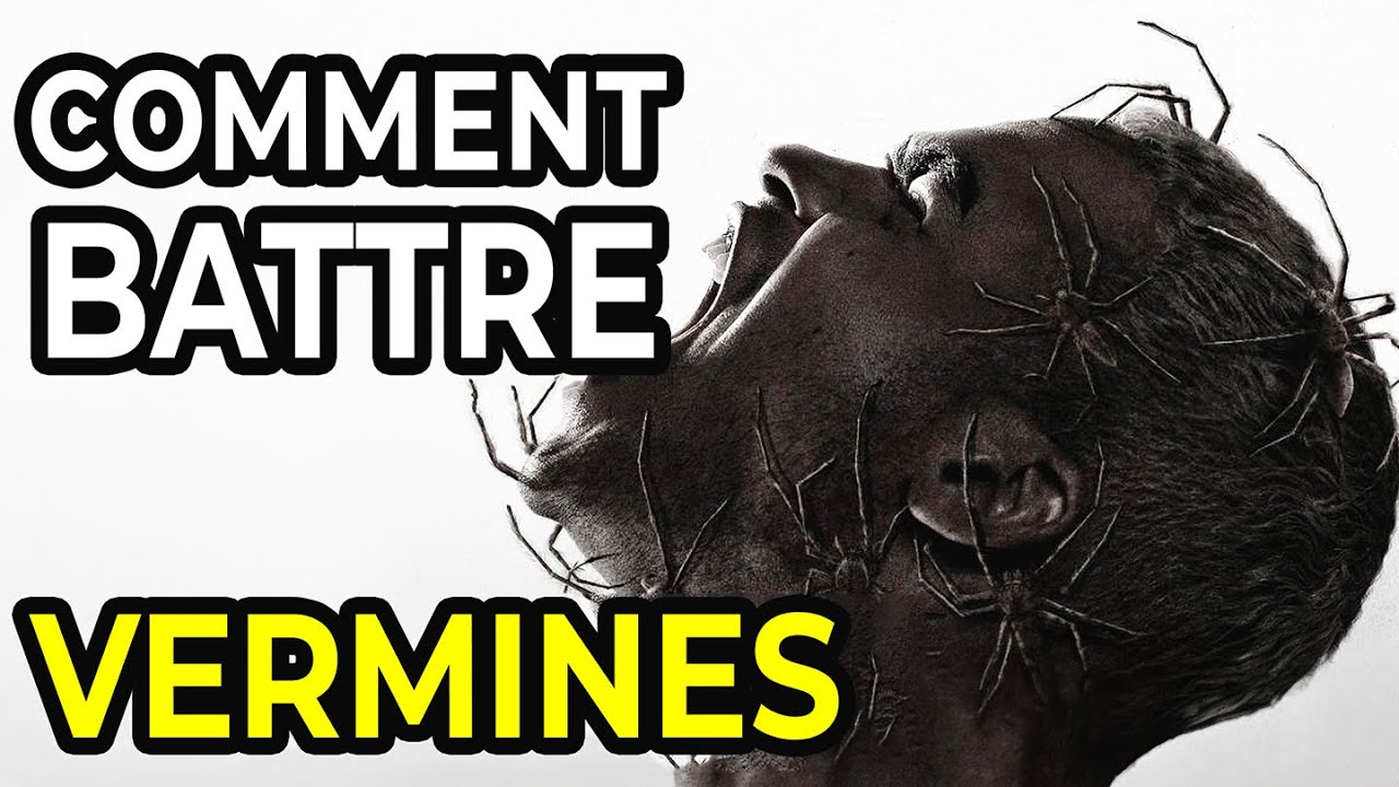 Comment Battre L&rsquo;APOCALYPSE DES ARAIGN&Eacute;ES Dans VERMINES