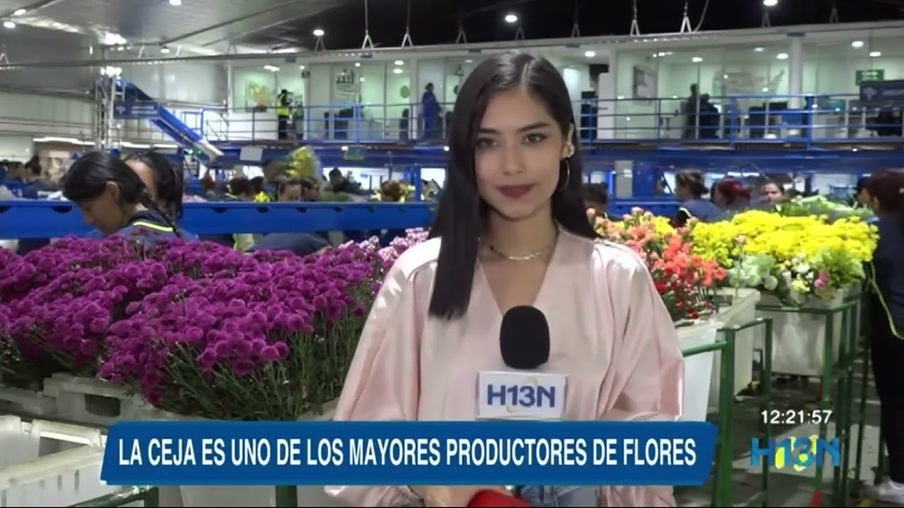 Flores Isabelita, un ejemplo del comercio de flores, parte1