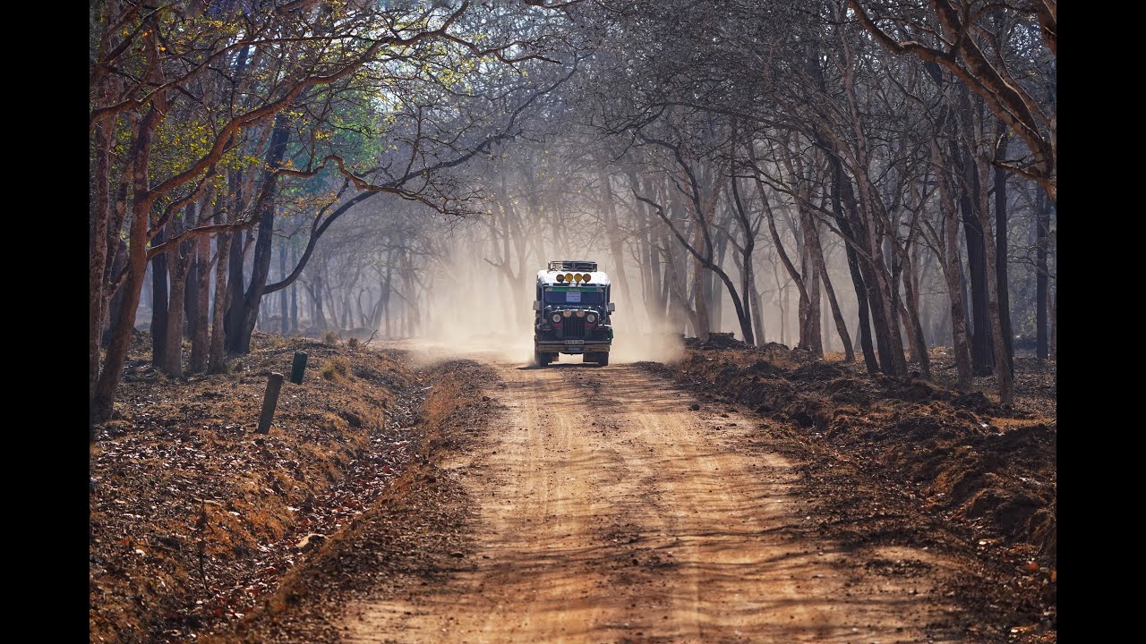 Wayanad to Kabini JLR|Road Trip | Nagerhole Tiger Reserve #wayanad #jlr #kabini #blackpanther