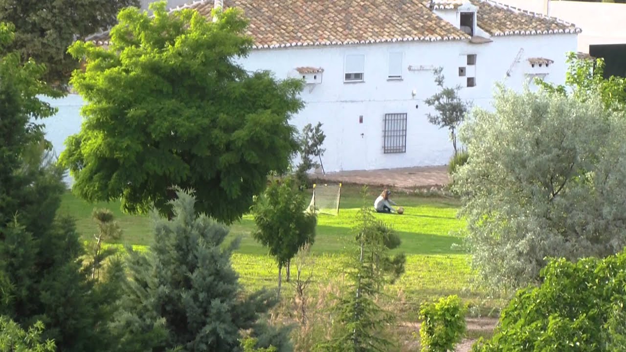 La Rinconada de las Tablas. Tablas de Daimiel.