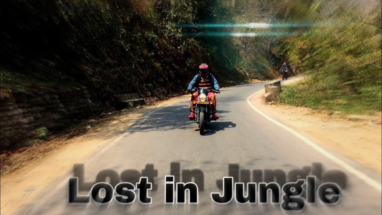 Lost in Jungle