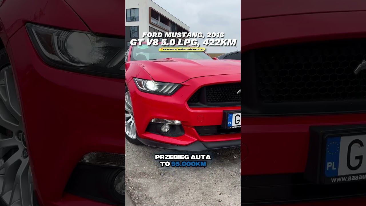 FORD MUSTANG #autohandel #motoryzacja #samoch&oacute;d #samochody #ford #mustang #fordmustang #mustanggt