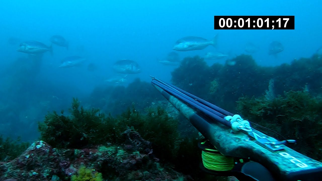 Pescando Dentones con Jos&eacute; Antonio Menacho del equipo Fusiles Orca y Tecnoblue