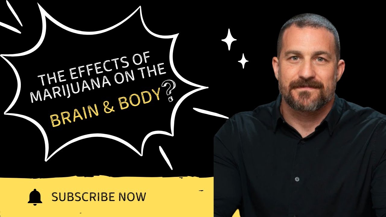 The Effects of Marijuana on the Brain & Body | Dr. Andrew Huberman