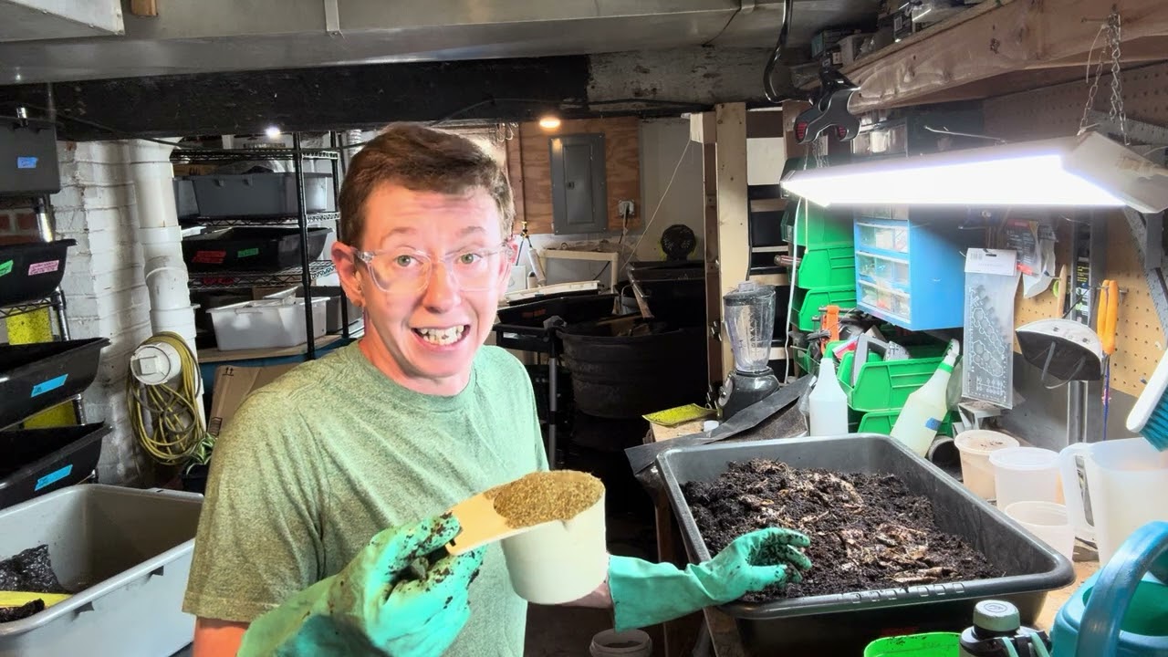 Mixing up pre-compost bedding using leaf mulch, coffee grounds, alfalfa, oyster shell, rock dust