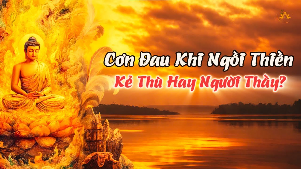Cơn Đau Khi Ngồi Thiền – Kẻ Thù Hay Người Thầy?| Thiền Sư Sayadaw U Jotika |
