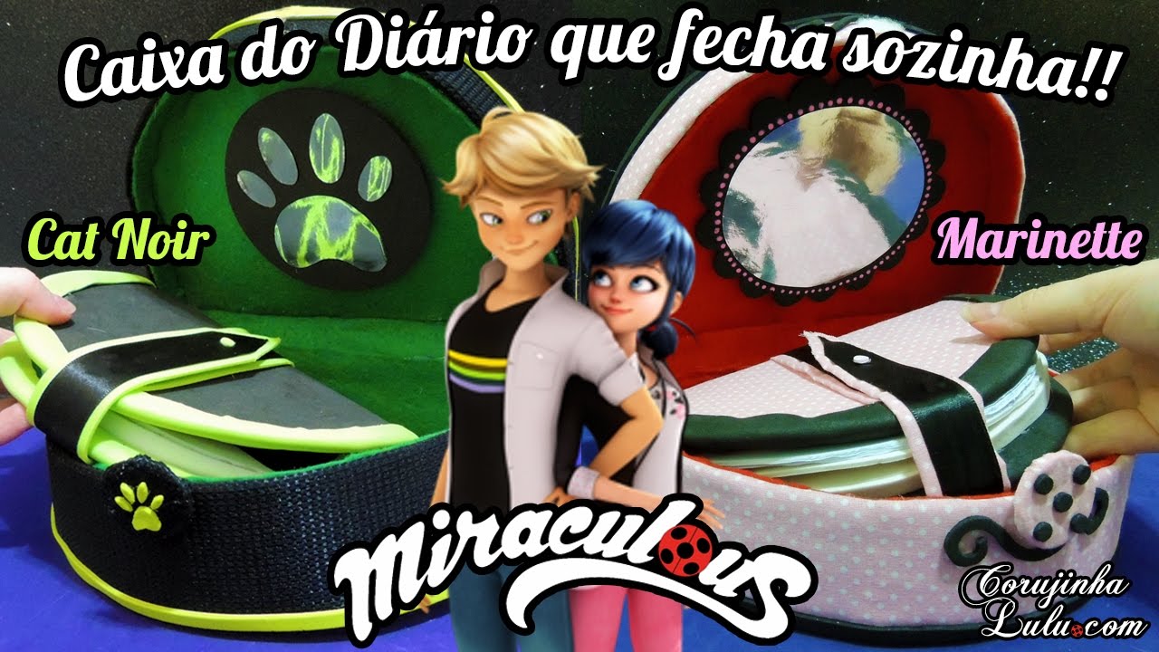 DIY Miraculous Ladybug: Como fazer Caixa do Diário da Marinette e Cat Noir (Fecha sozinha!)