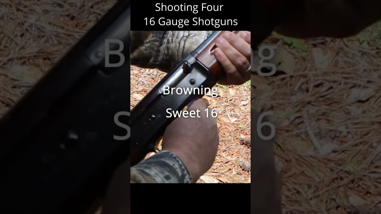 16 Gauge Shotguns Short