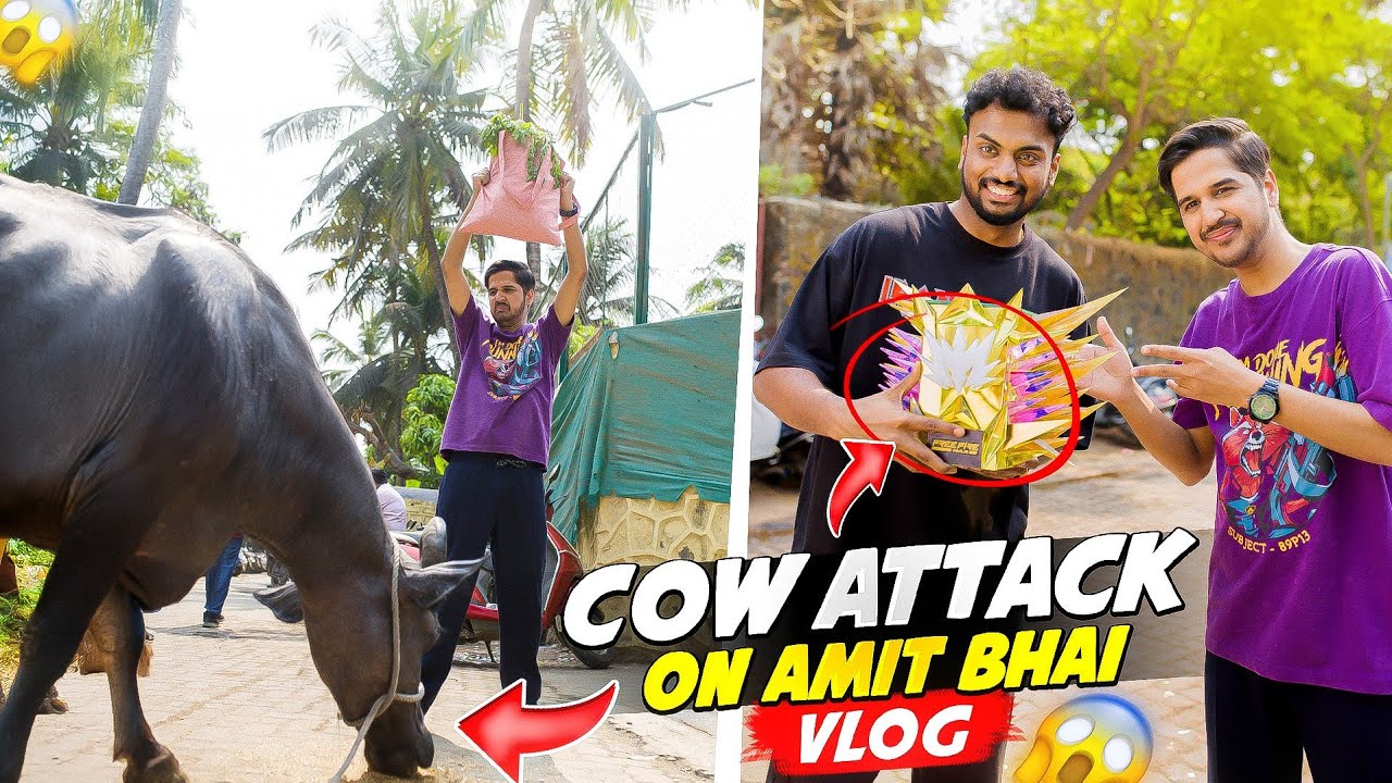 Cow Attack On Amit Bhai ? 😱 Pahadi Gamer Ki Shaadi ♥️ Shoot Vlog