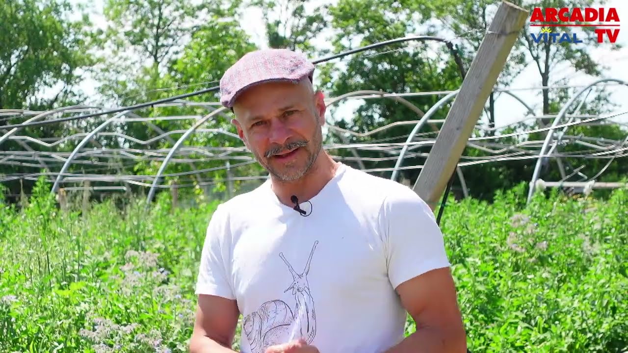Der Zauber der Schnecke – Nachhaltige Delikatesse aus Wien | Schneckenzucht mit Andreas Gugumuck