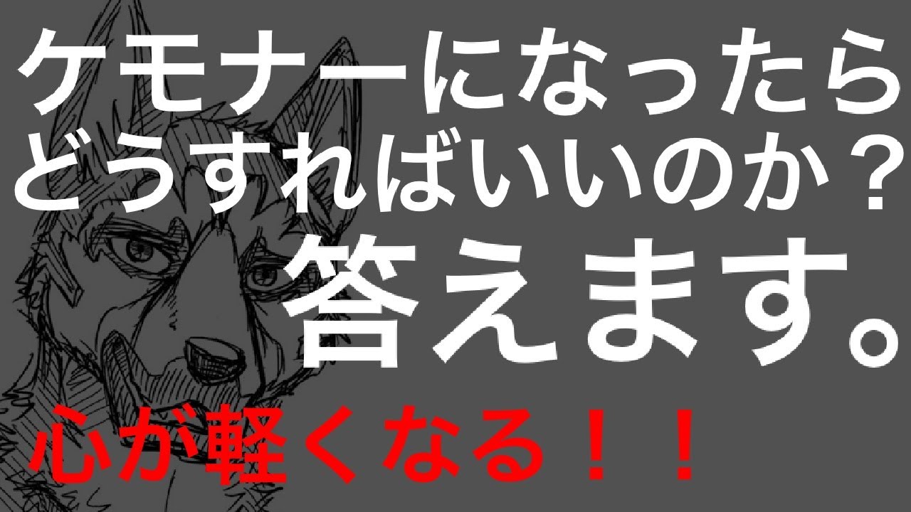 【ケモノ】【獣人】ケモナーになったらどうしたらいいの？　答えます。