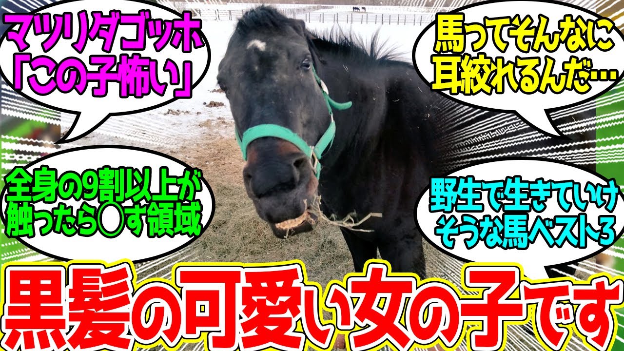 クーベルチュールとかいう可愛い名前からお出しされる親分…に対するみんなの反応！【競馬 の反応集】