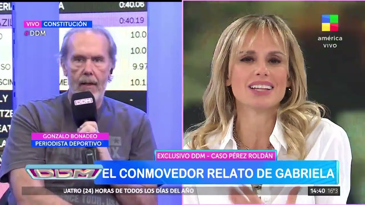 Gonzalo Bonadeo, sobre el caso Pérez Roldán: 